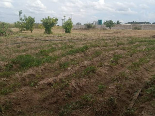 Vacant 750sqm Plot for Sale near Barn Motel