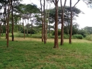 Plots For Sale In New Kasama