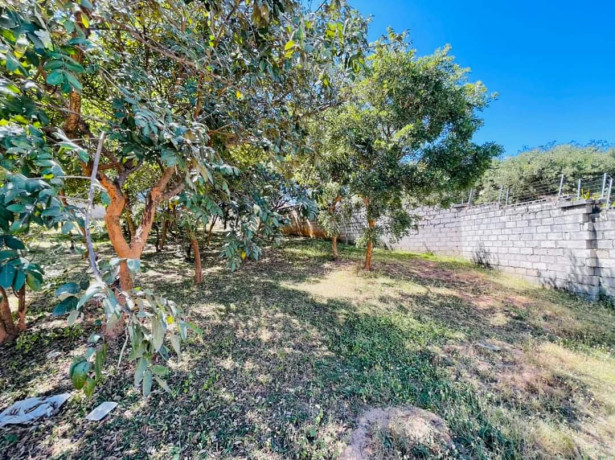 spacious-plot-for-sale-in-foxdale-big-5