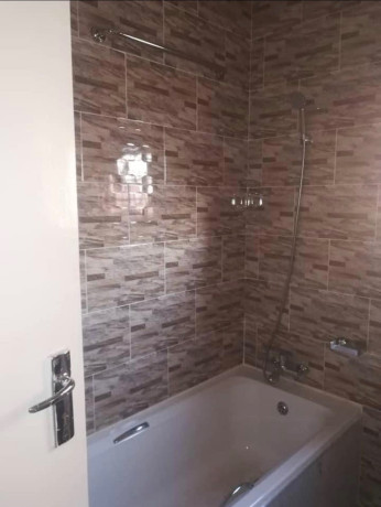 2-bedroom-flat-for-rent-in-libala-south-big-7