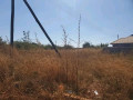 prime-plot-for-sale-in-libala-south-small-1