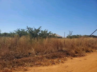 Prime Plot For Sale in Libala South