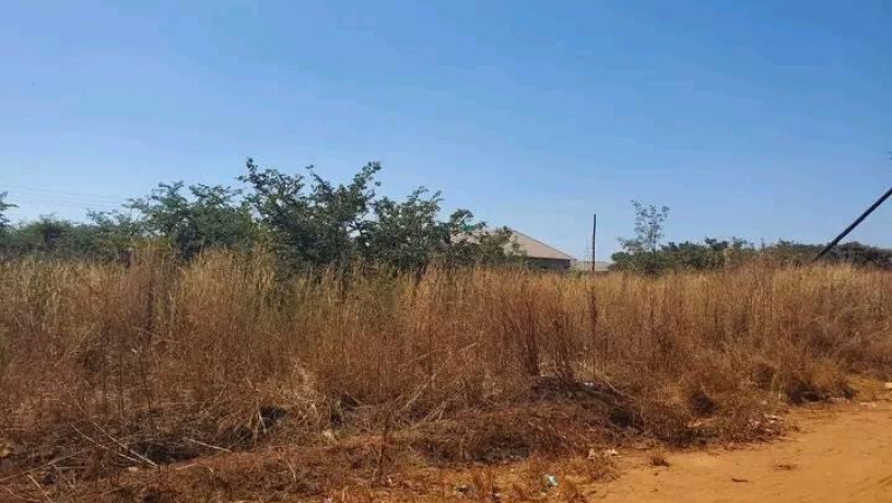 prime-plot-for-sale-in-libala-south-big-0