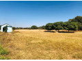 8-acre-plot-for-sale-in-phi-small-2