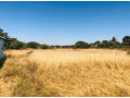 8-acre-plot-for-sale-in-phi-small-3