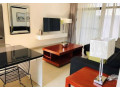 2-bedroom-apartments-for-rent-in-roma-park-small-4