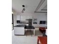 2-bedroom-apartments-for-rent-in-roma-park-small-3