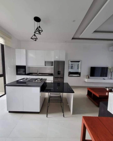 2-bedroom-apartments-for-rent-in-roma-park-big-3