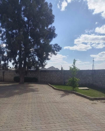 2-bedroom-flat-for-rent-in-meanwood-chamba-valley-big-2