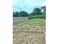 1-bedroom-flats-for-sale-in-northmead-small-3
