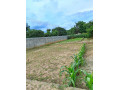 1-bedroom-flats-for-sale-in-northmead-small-8