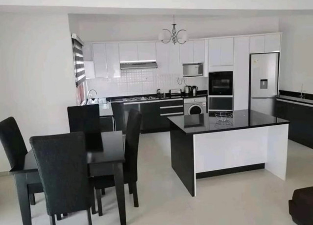 3-bedroom-apartment-for-rent-in-roma-park-big-7