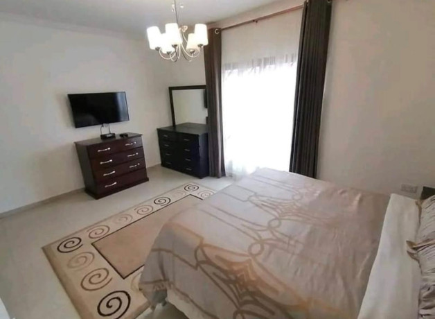 3-bedroom-apartment-for-rent-in-roma-park-big-4