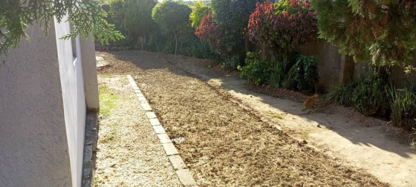 4-bedroom-house-for-sale-in-longacres-big-5