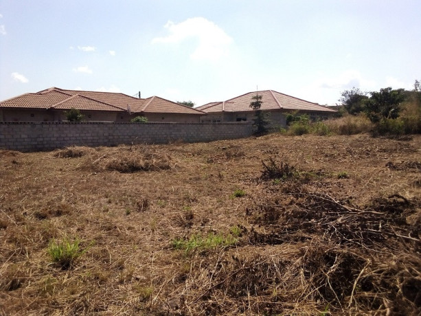 prime-plot-for-sale-in-chamba-valley-big-0