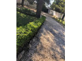 3-bedroom-house-for-sale-in-kalundu-small-1