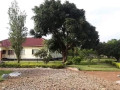 neat-and-modern-3-bedroom-house-in-woodlands-chalala-small-2