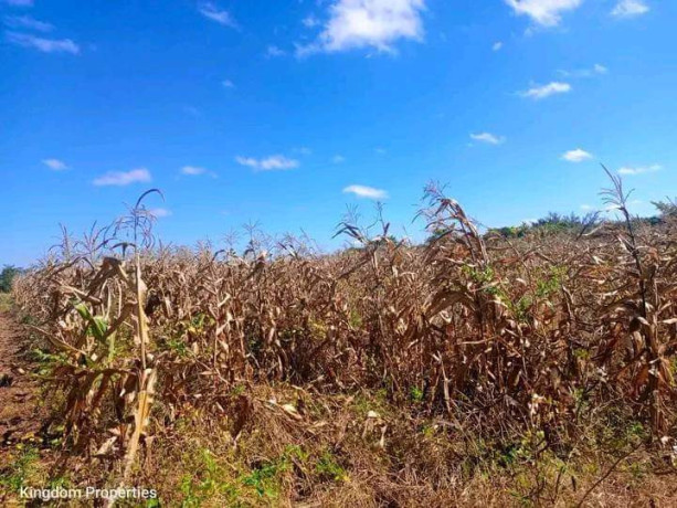 spacious-5-acre-plot-in-meanwood-nkosi-big-3