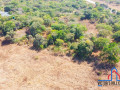 2-acre-plot-for-sale-in-new-kasama-small-2