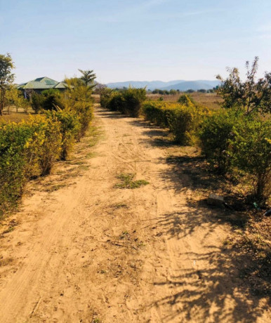 3-bedroom-house-for-sale-in-nkwashi-big-3