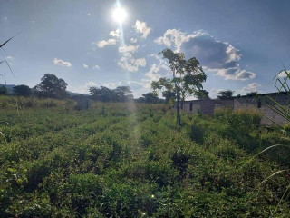 4.5 Acre Plot For Sale in Leopards Hill