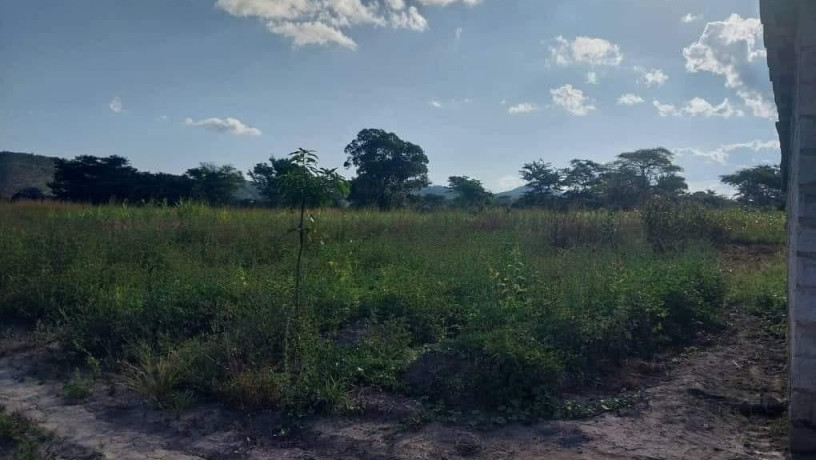 45-acre-plot-for-sale-in-leopards-hill-big-4