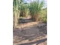 45-acre-plot-for-sale-in-leopards-hill-small-7