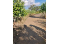 45-acre-plot-for-sale-in-leopards-hill-small-2