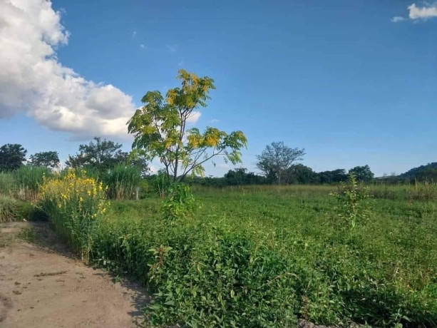45-acre-plot-for-sale-in-leopards-hill-big-1