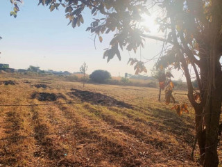 1 Acre Plot For Sale In Ibex Hill