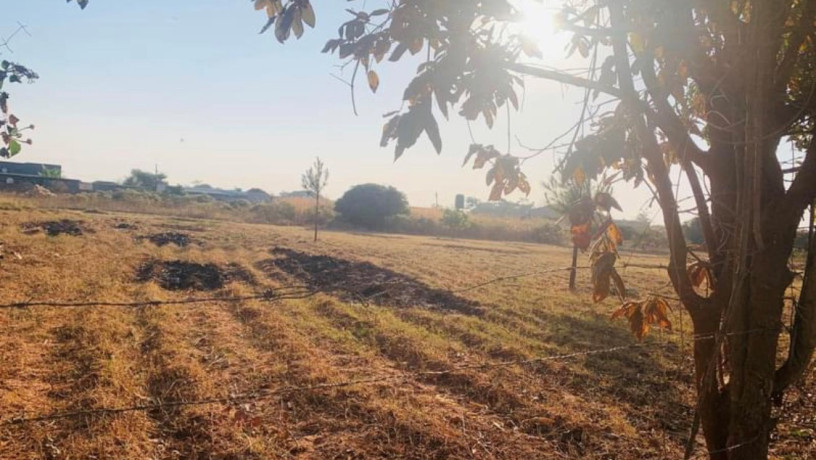 1-acre-plot-for-sale-in-ibex-hill-big-0