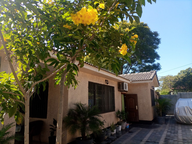 2-bedroom-house-for-rent-in-ibex-hill-big-2