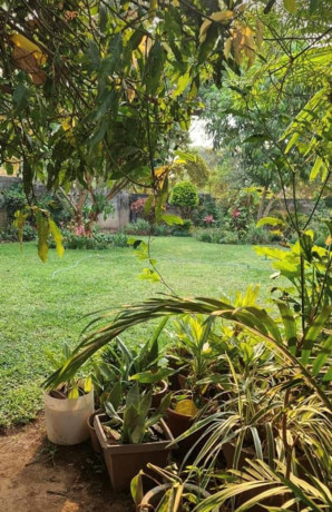 3-bedroom-house-for-sale-in-woodlands-big-1