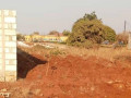 plot-for-sale-in-libala-south-small-1