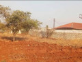 plot-for-sale-in-libala-south-small-4