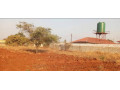 plot-for-sale-in-libala-south-small-4
