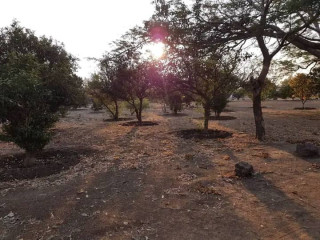 21 Acre Land For Sale in Lusaka West