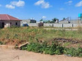 20-x-30-plot-for-sale-in-lilayi-small-5