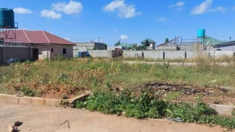 20-x-30-plot-for-sale-in-lilayi-big-5