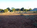 plot-for-sale-in-lilayi-small-1