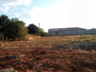 plot-for-sale-in-lilayi