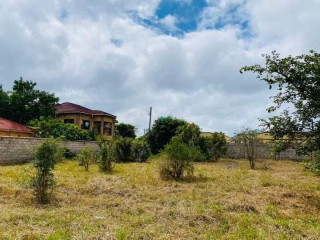 43*40 Plot For Sale in Ibex Hill