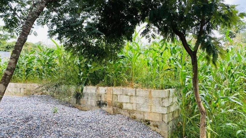 plot-for-sale-in-ibex-hill-big-3