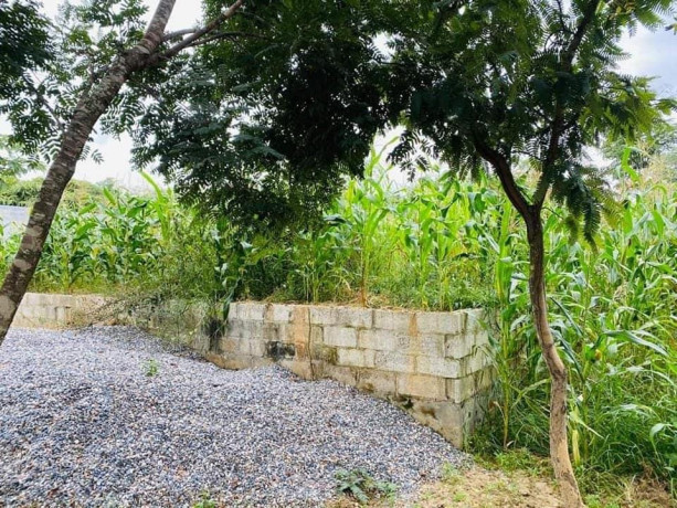 plot-for-sale-in-ibex-hill-big-3
