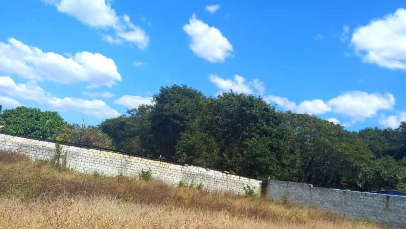 20-x-30-plot-for-sale-in-ibex-hill-big-6