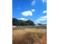20-x-30-plot-for-sale-in-ibex-hill-small-4