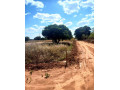 20-x-30-plot-for-sale-in-ibex-hill-small-3