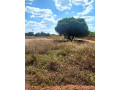 20-x-30-plot-for-sale-in-ibex-hill-small-2