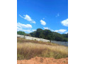 20-x-30-plot-for-sale-in-ibex-hill-small-6