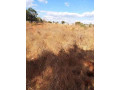 residential-plot-for-sale-in-ibex-small-2
